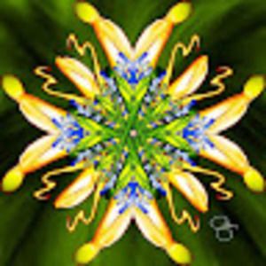 Meet your Posher, Gale